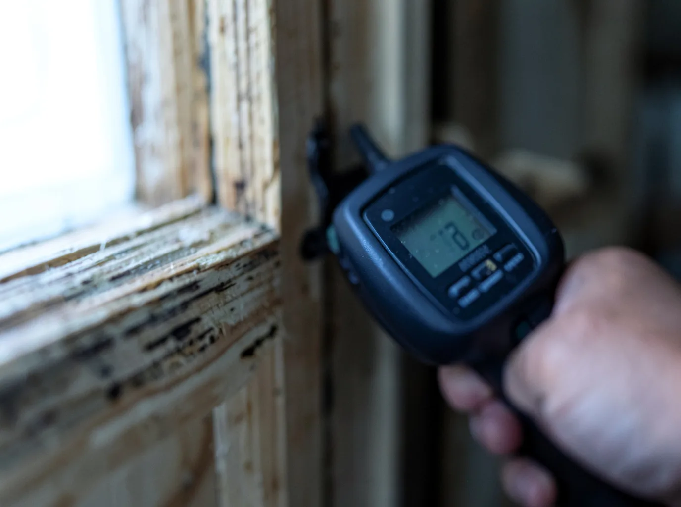Moisture Inspection And Documentation in Claremont, MN